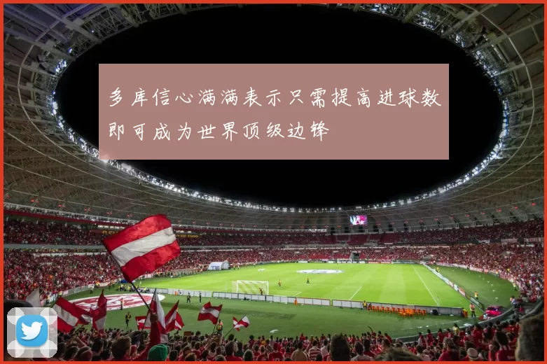 多库信心满满表示只需提高进球数即可成为世界顶级边锋